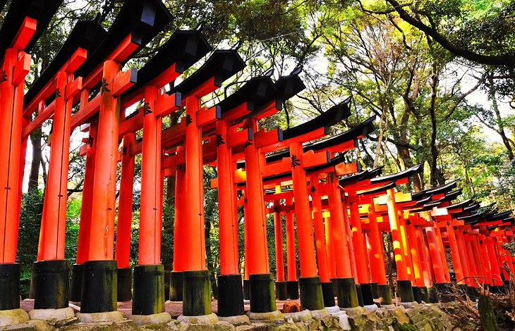 How to buy Weed in Kyoto