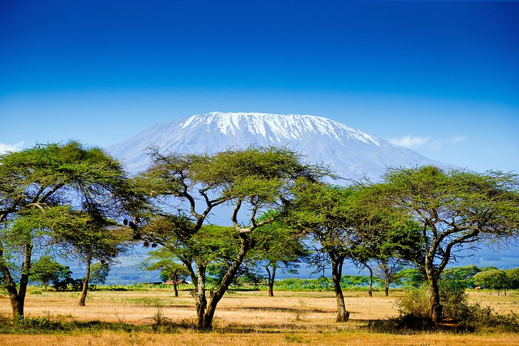 Where to buy weed in central Kenya